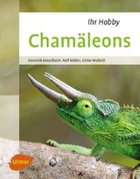 Chamäleons Kieselbach, Dominik/Müller, Rolf/Walbröl, Ulrike 9783800103959