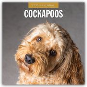 Cockapoos - Cockapoo 2025 - 16-Monatskalender  9781804424490