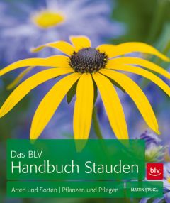 Das BLV Handbuch Stauden Stangl, Martin 9783835412651