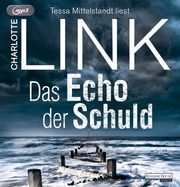 Das Echo der Schuld Link, Charlotte 9783837167313