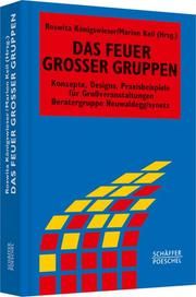 Das Feuer großer Gruppen Roswita Königswieser/Marion Keil 9783791030432