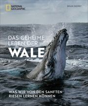 Das geheime Leben der Wale Skerry, Brian 9783866907621
