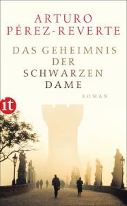 Das Geheimnis der schwarzen Dame Pérez-Reverte, Arturo 9783458360827