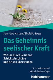 Das Geheimnis seelischer Kraft Martens, Jens-Uwe/Begus, Birgit M 9783170423473