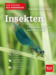 Das große BLV Handbuch Insekten Gerhardt, Ewald/Gerhardt, Marina 9783967470482
