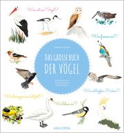 Das große Buch der Vögel Tordjman, Nathalie 9783730610572