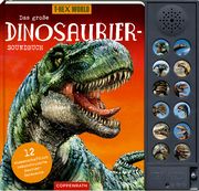 Das große Dinosaurier-Soundbuch Wernsing, Barbara 9783649647775