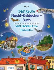 Das große Nacht-Entdecker-Buch Küntzel, Karolin 9783817443451