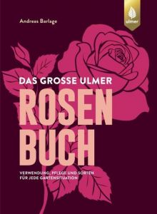 Das große Ulmer Rosenbuch Barlage, Andreas 9783800108152