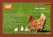 Das Huhn / Kamishibai Bildkarten  4260505830519