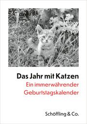 Das Jahr mit Katzen Bachstein, Julia 9783895619601
