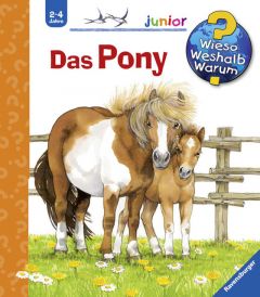 Das Pony Roß, Thea 9783473327737