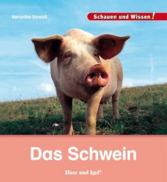 Das Schwein Straaß, Veronika 9783867607858