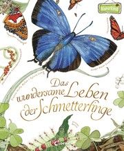 Das wundersame Leben der Schmetterlinge Aston, Dianna Hutts 9783785587508