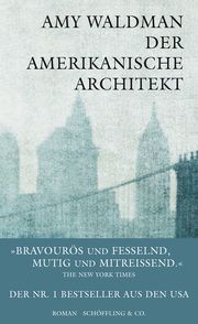 Der amerikanische Architekt Waldman, Amy 9783895615221