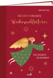 Der fast vergessene Weihnachtsstern Jung, Christina 9783784079554