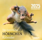 Der heroische Hörnchenkalender 2025 Burckhardt, Wolfram 9783865995681