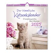 Der himmlische Katzenkalender 2025  9783746264813