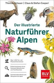 Der illustrierte Naturführer Alpen Schauer, Thomas/Caspari, Stefan 9783967470604