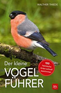 Der kleine Vogelführer Thiede, Walther 9783835417212