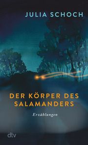 Der Körper des Salamanders Schoch, Julia 9783423148528