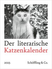 Der literarische Katzenkalender 2025 Bachstein, Julia 9783895617591