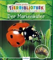 Der Marienkäfer Tracqui, Valérie 9783480237470