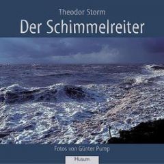 Der Schimmelreiter Storm, Theodor 9783898761444