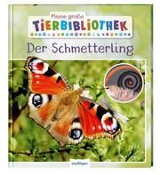 Der Schmetterling Tracqui, Valérie 9783480236206