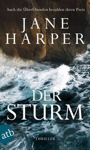 Der Sturm Harper, Jane 9783746641225