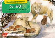 Der Wolf Stöckl-Bauer, Katharina 4260179515729