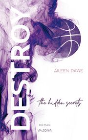 DESTROY the hidden secrets Dawe, Aileen 9783987180408