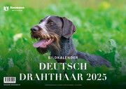 Deutsch Drahthaar 2025  9783788821005