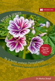Die 12 besten essbaren Pionierpflanzen Strauß, Markus (Dr.) 9783775008228