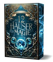 Die 12 Häuser der Magie - Schicksalswächter Suchanek, Andreas 9783959915977