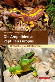 Die Amphibien und Reptilien Europas Glandt, Dieter/Trapp, Benny 9783494018546