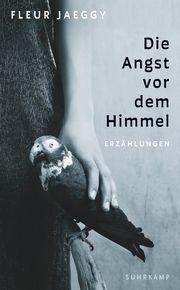 Die Angst vor dem Himmel Jaeggy, Fleur 9783518474280