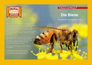 Die Biene / Kamishibai Bildkarten  4260505830250