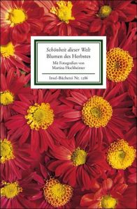 Die Blumen des Herbstes Martina Hochheimer 9783458192862