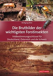 Die Brutbilder der wichtigsten Forstinsekten Rohe, Wolfgang 9783494019758