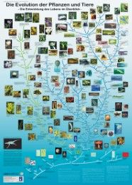 Die Evolution der Pflanzen und Tiere Willmann, Rainer 9783933922427