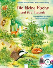Die kleine Buche und ihre Freunde Reichenstetter, Friederun 9783401715148