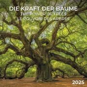 Die Kraft der Bäume 2025  9783959294690