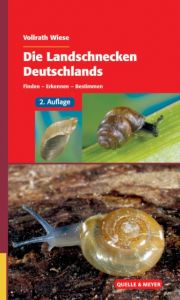 Die Landschnecken Deutschlands Wiese, Vollrath (Dr.) 9783494016863