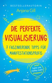 Die perfekte Visualisierung Gill, Anjana 9783969330838