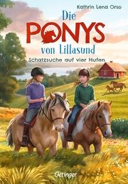 Die Ponys von Lillasund 2. Schatzsuche auf vier Hufen Orso, Kathrin Lena 9783751205924