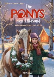 Die Ponys von Lillasund 3. Winterzauber im Stall Orso, Kathrin Lena 9783751205931