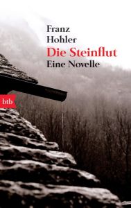 Die Steinflut Hohler, Franz 9783442742691