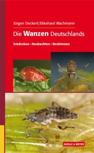 Die Wanzen Deutschlands Deckert, Jürgen/Wachmann, Ekkehard 9783494016368