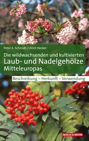 Die wildwachsenden und kultivierten Laub- und Nadelgehölze Mitteleuropas Schmidt, Peter A/Hecker, Ulrich 9783494018003
